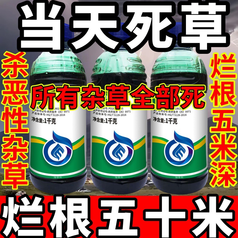 高浓度精草铵膦铵盐除草剂小飞蓬牛筋草斩草除根杂草全当天死草