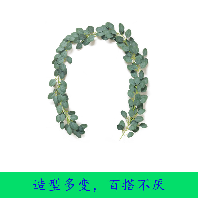 藤条5号 357叶 2米 13 (10).jpg