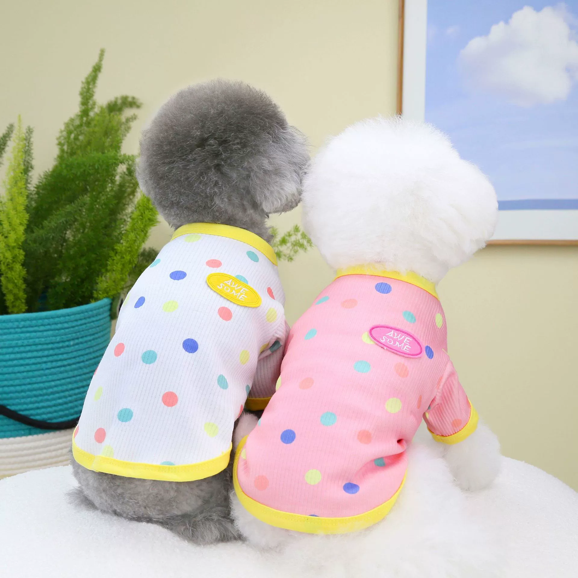 Одежда для домашних животных Одежда для собак Осенне-зимняя одежда Новая зимняя одежда для домашних животных Teddy Cat База 2323 Rainbow Dots