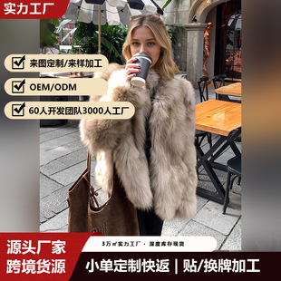 �nŮǧ��ëë���I����Ů��2026�¿�ë���״���ë�qŮ�b������ů