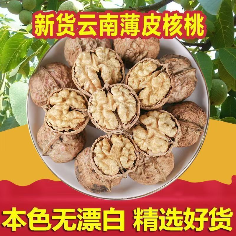 新货云南纸皮核桃薄壳薄皮核桃老树核桃原味生核桃批发