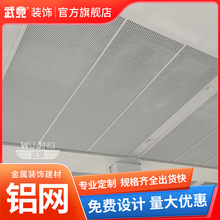 铝合金拉伸型材拉网板菱形鱼鳞孔拉网铝天花造型金属网格幕墙装饰