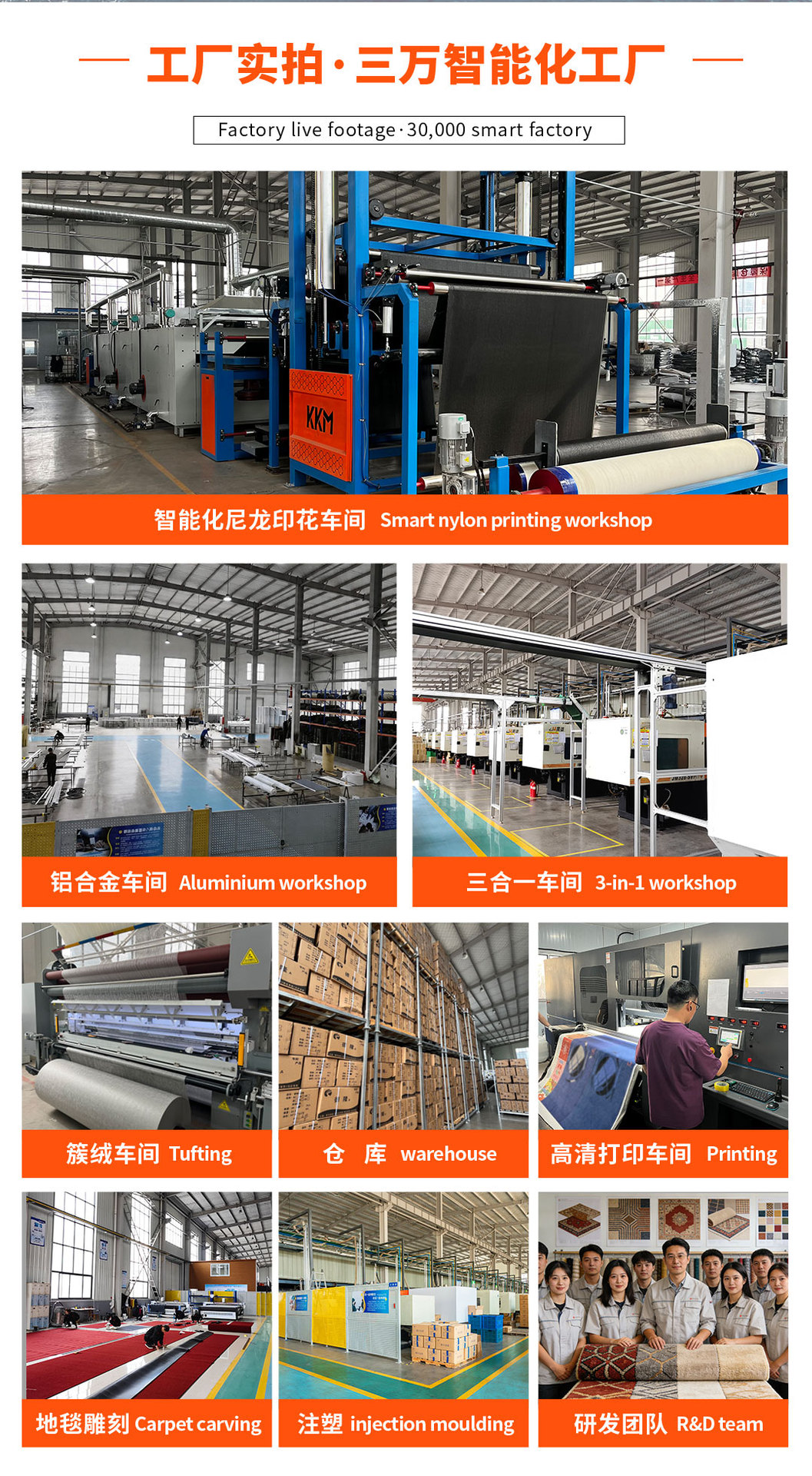 Cross-Border Supply of Motorcycle Floor Mats, Nylon Printed Rubber Carpets, Oil-Proof and Stain-Resistant, Printed with Advertising Logos, Motorcycle Mats