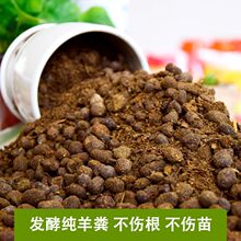 ����S���w���ЙC�l�͸�����S���B���N�ˠI�B���r�ҷ�ͨ�ßo��ζ