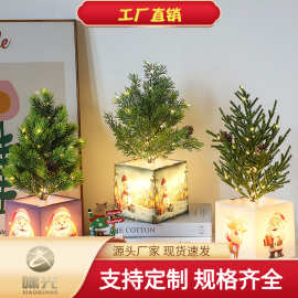 新款跨境小夜灯ins圣诞树灯宿舍装饰灯氛围灯床头台灯花盆灯树灯