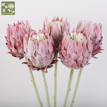 单支北欧蓟假花家居婚礼装饰摆件婚庆摄影道具仿真帝王花仿真花