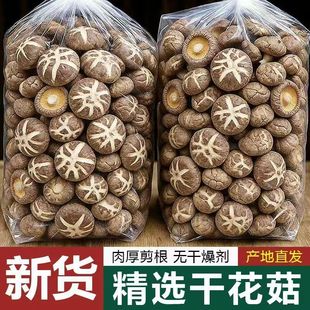 �����⡿���x������؛�خa�㹽�^���ͶY���ⶬ�����l���l�r���ԕ�