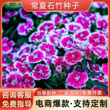 ʯNӵر^ֲNʯ񻨻ܷN׷NGݷN