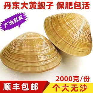 ���|���S͘���r��oɳҰ�����ۻ����Sؐ��ؐ���rؐ�ˮ�a4����]