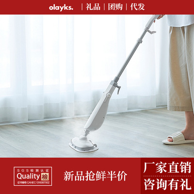 olayks出口款電動蒸汽拖把家用高溫蒸汽清潔機非無線蒸氣拖洗地機