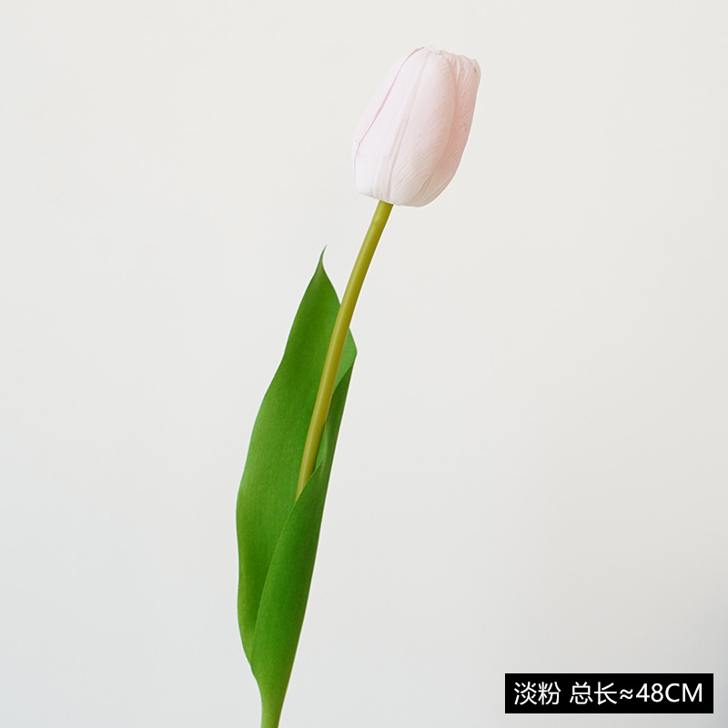 가벼운 가루