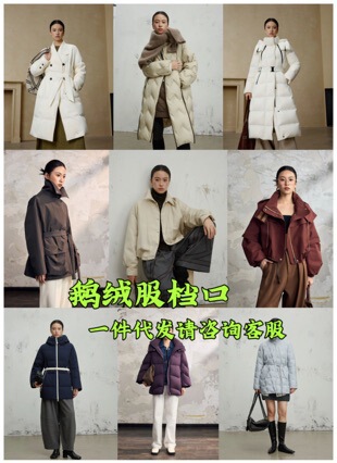 Hangzhou Laojiutian Outlet's Original Designer Women's Clothing, Featuring Goose down Jackets and down Coats, Is a Direct Source of Supply for Agents
