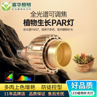 ED Full Spectrum Plant Lamp Adjustable Focal Length Par30 Plant Growth Lamp LED Supplementary Spotlight 20W Highlight Spotlight
