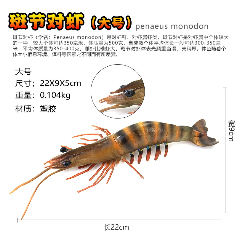Игрушка, большие морские когнитивные украшения