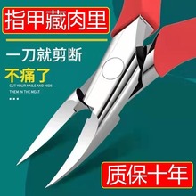 不锈钢鹰嘴钳指甲钳指甲剪斜口甲沟指甲刀修脚钳嵌甲钳美甲工具