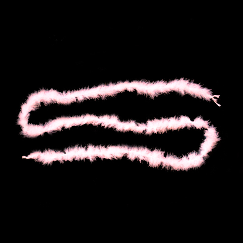 Feather strip (1).jpg