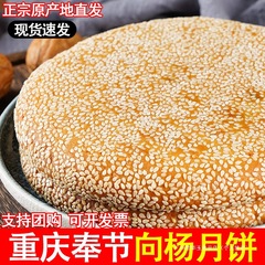 重庆奉节向阳大月饼老式手工传统向杨五仁月饼中秋四川特产一个装