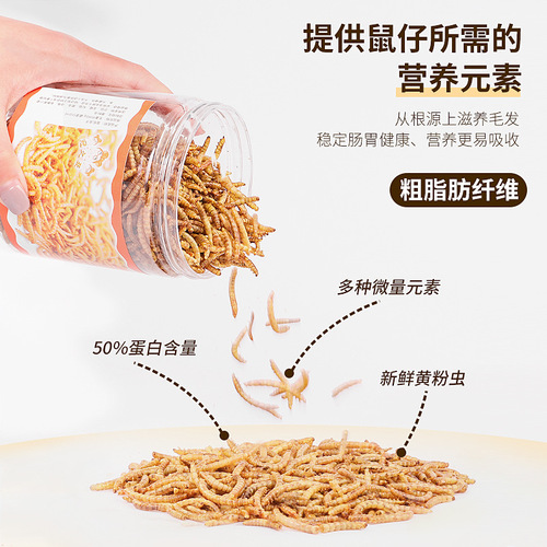 Dried mealworms 550ML dried mealworms hamster supplies food snacks hedgehog fish and bird feed turtle food bird food