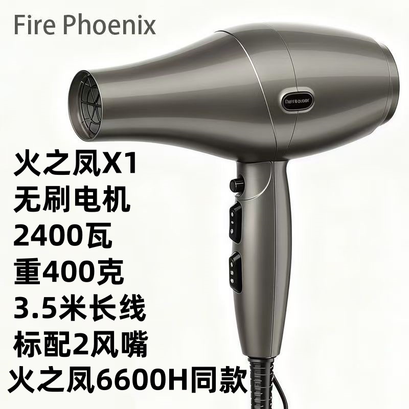 X1 티타늄 그레이(브러시리스 모터 2400와트)