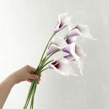 �ߙnPU�L���R��ɏ����ɫ���滨������[�O�廨�ۘǲ��OӋ���ߔzӰ