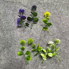 仿真绿植蒲公英四色仿真植物塑料水草盆栽插花造景仿真花工厂批发