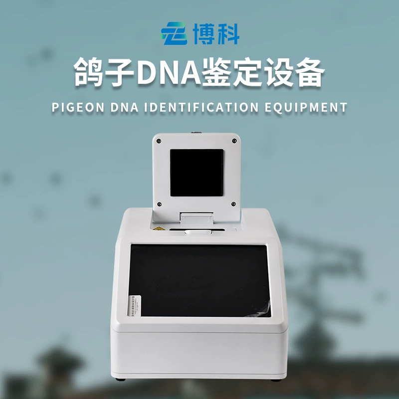 Голубь летать способность идентификации инструмент голубь ДНК идентификации оборудования ДНК идентификации инструмент обнаружения голубь ДНК