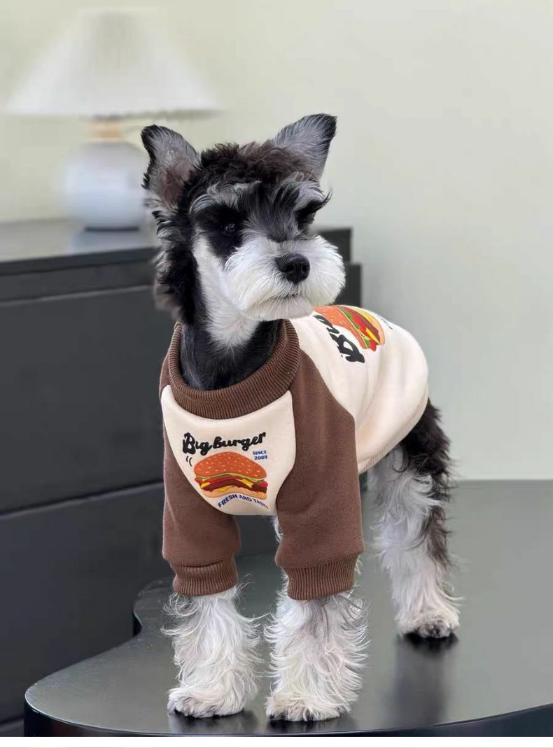 4dc344f6-e531-48aa-911b-8b559bcae651.jpe