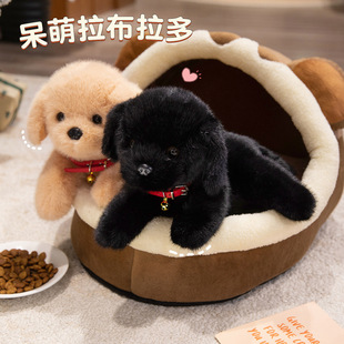 �������๫��ë�q��߹�����ż����С����ͯ���᲼����˯�X��Ů��