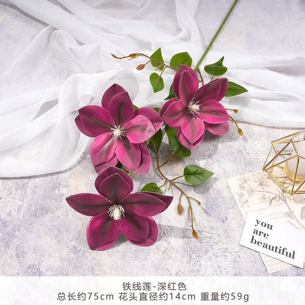 Xd- clematis - deep red