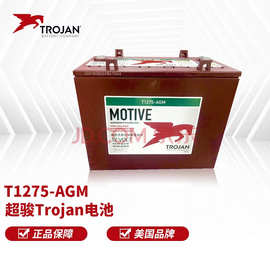 超骏（邱健）Trojan电池 T1275-AGM 免维护电池