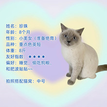 ؈�Cģ��չʾ����ů�CӋ���P������؈�͸CӋ����ů؈��Ӌ���a�r��