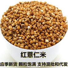 ���r�t޲����500��/1��a��ֱ��������؛�w��M��������s�Z��