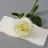 Big velvet milk white