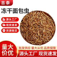 现货批发面包虫干龟粮仓鼠饲料黄粉虫干鱼食鱼饲料1斤装宠物饲料