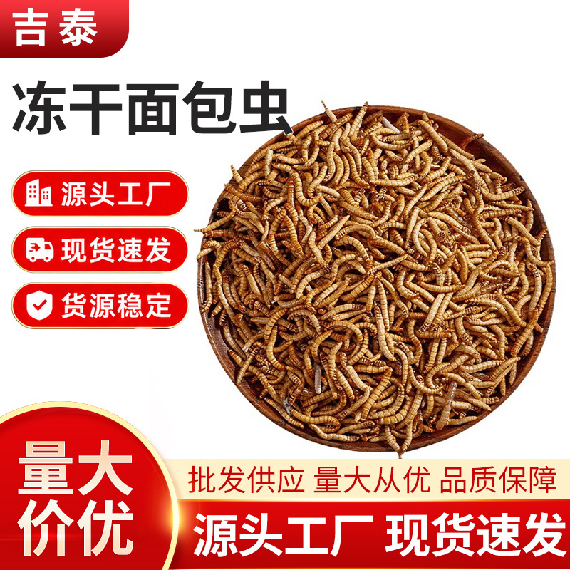 现货批发面包虫干龟粮仓鼠饲料黄粉虫干鱼食鱼饲料1斤装宠物饲料