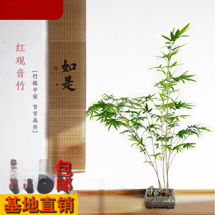 �t�^�����������������T��С���Ծ��زĕ���ͥԺ�̨����]���l