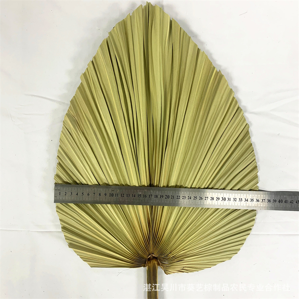 Los fabricantes de hojas de la flor seca de la hoja de la palma de la planta de hoja de la flor seca de la hoja de La Palma