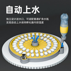 Factory Direct Sales Small Home Use Automatic Egg Incubator Smart Breeding Incubator Chicken Egg Incubator Box