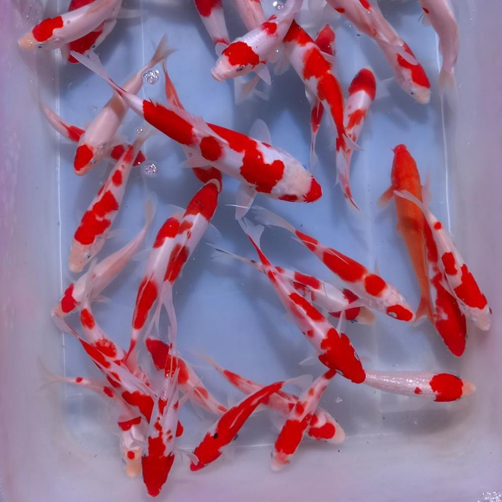 0c280067-6921-41bc-9e6c-bb72cb7598cc.jpe