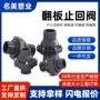 工业级内螺纹upvc板式止回阀