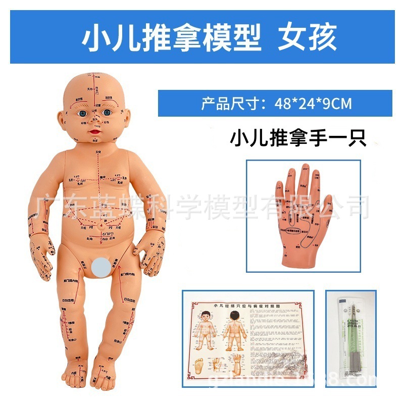 ȫ��Ѩλ���޾���ͼ��Ħ����ҽС�����ý�ѧ������ɩ��ѵ����ģ��