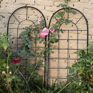 ���ټܾW�񻨠��Fˇ�����¼��F��ɏ�廨�������ܑ����̨��֧����