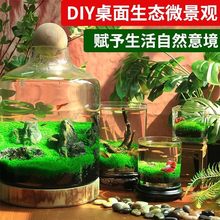 ���BƿDIY����ˮ��С�~����������������~���B�~���B�~΢���^ƿ