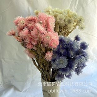 �������l�����b廨��ʯ������ѩɏ���ɻ����� ���ϰ�DIY����