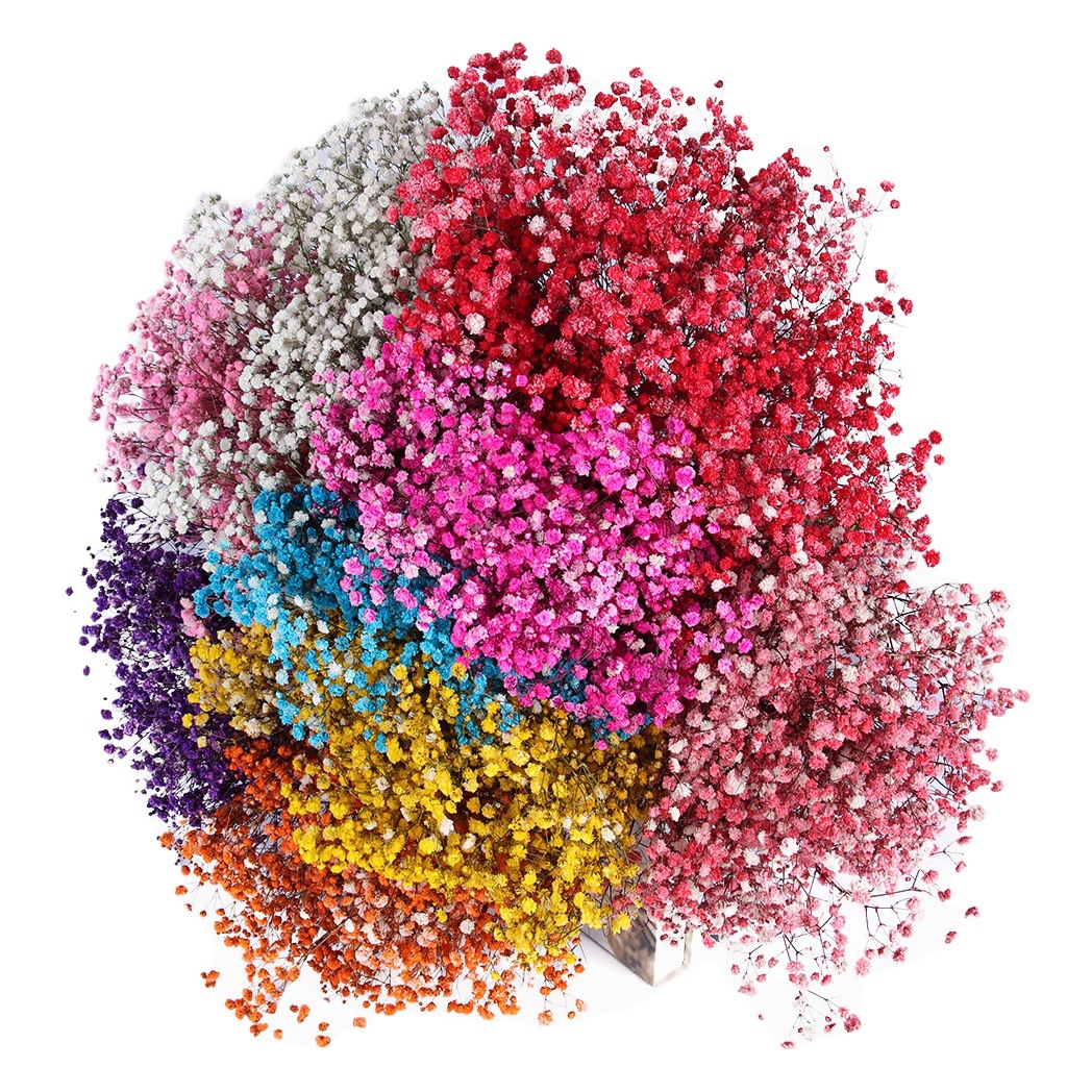 Yongsheng flor estrellado flor seca grande al por mayor regalo de flores de San Valentín Regalo de Cumpleaños gran manojo de ramo de flores reales