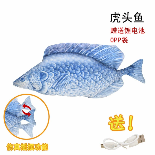 Tiger head fish