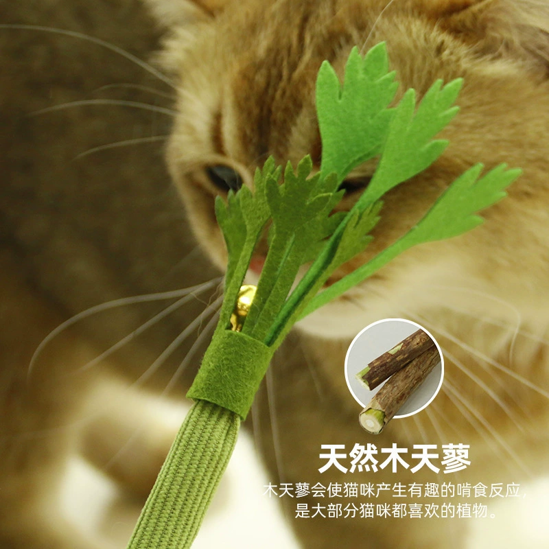 Pet toy realistic celery cat teaser with bell, chewable soft design