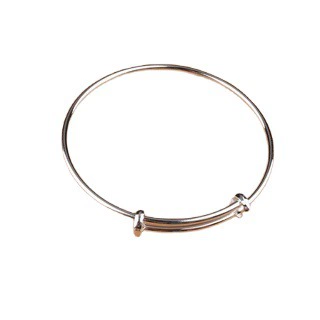 Glossy brand small design fashionable universal women's bracelet, simple and elegant design, light luxury style, high-quality style