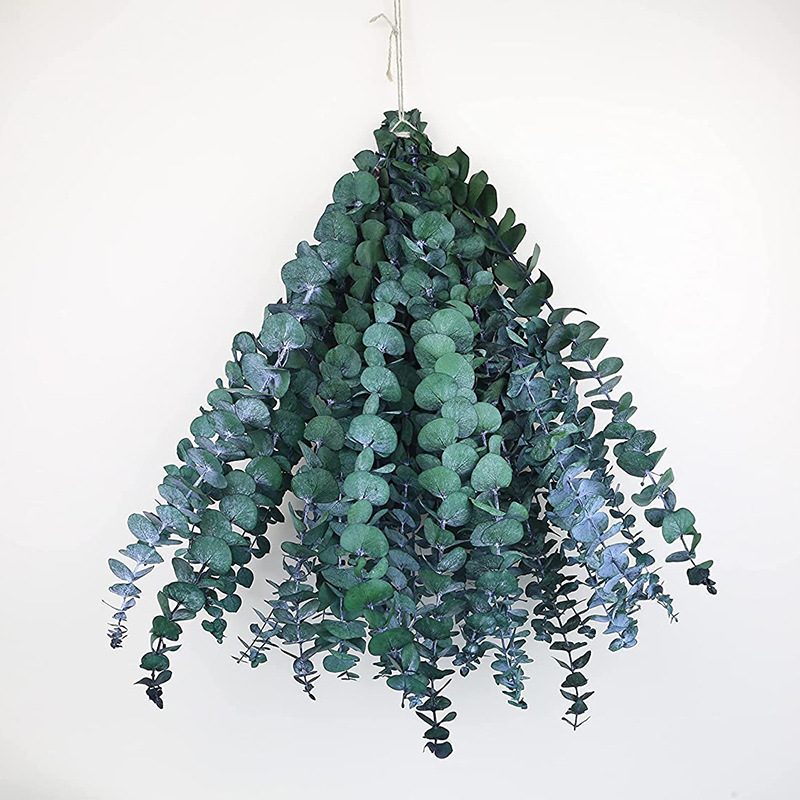 Eucalyptus éternel feuilles bouquet de fleurs séchées arrangement de fleurs frais avec des fleurs feuilles d'eucalyptus in Internet celebrity plante