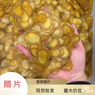 ¹��Ƭ�DƬȫϞƬ��NҎ��F؛���l����r���|���خa¹�׹���